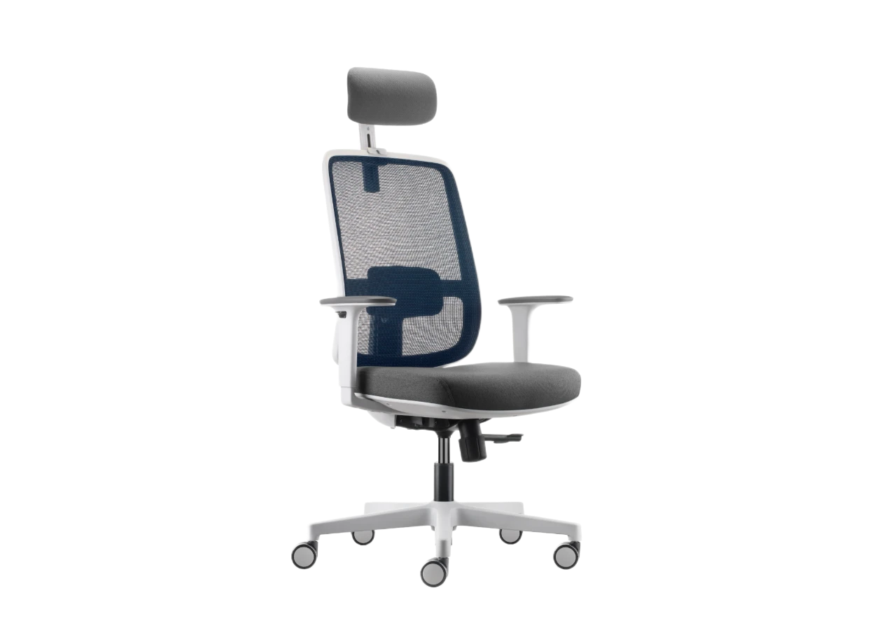 Monte (HB) - Image 6