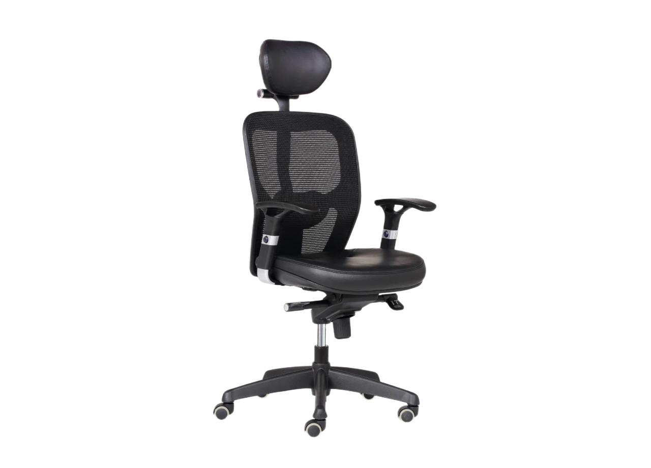 Morph (HB) - Image 6